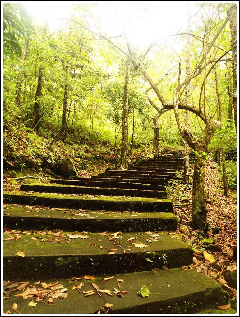 See! I told you it isn't that hard. Look at that staircase!