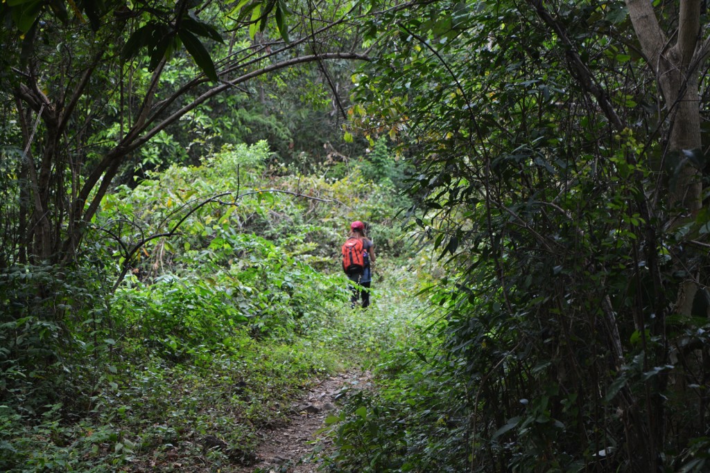 MT. TIBIG LOBO BATANGAS