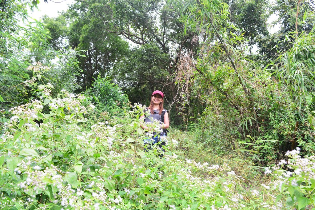 MT. TIBIG LOBO BATANGAS