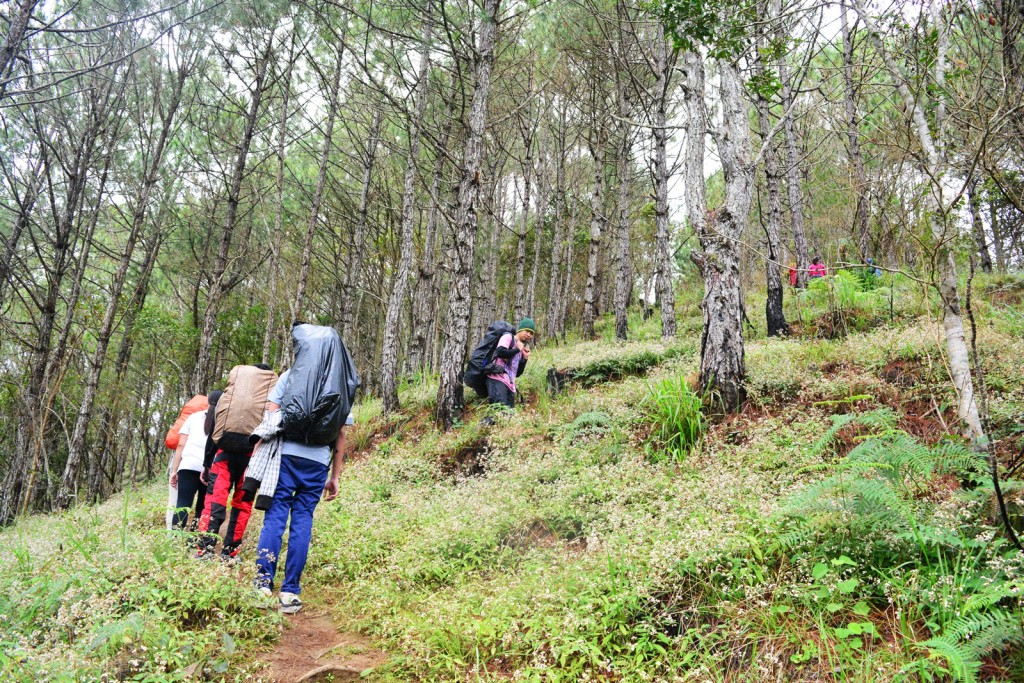 MT. UGO NUEVA VIZCAYA