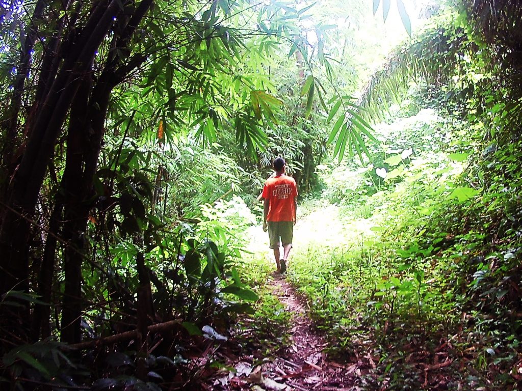 MT. MABILOG NAGCARLAN LAGUNA