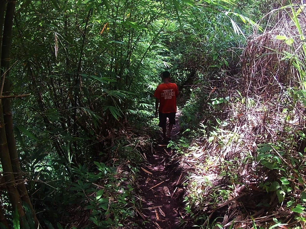 MT. MABILOG NAGCARLAN LAGUNA