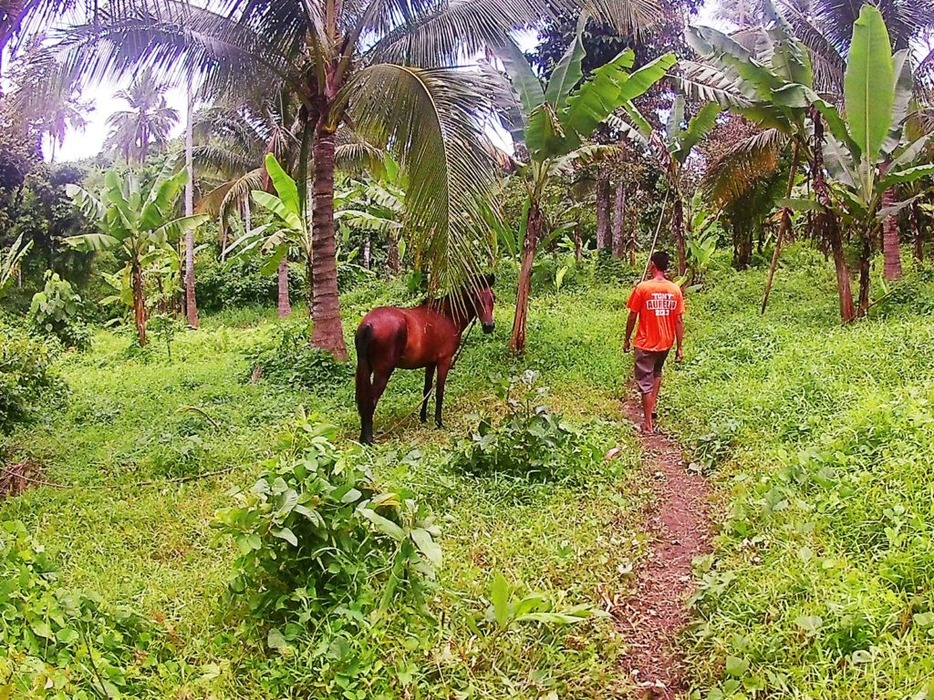 MT. MABILOG NAGCARLAN LAGUNA