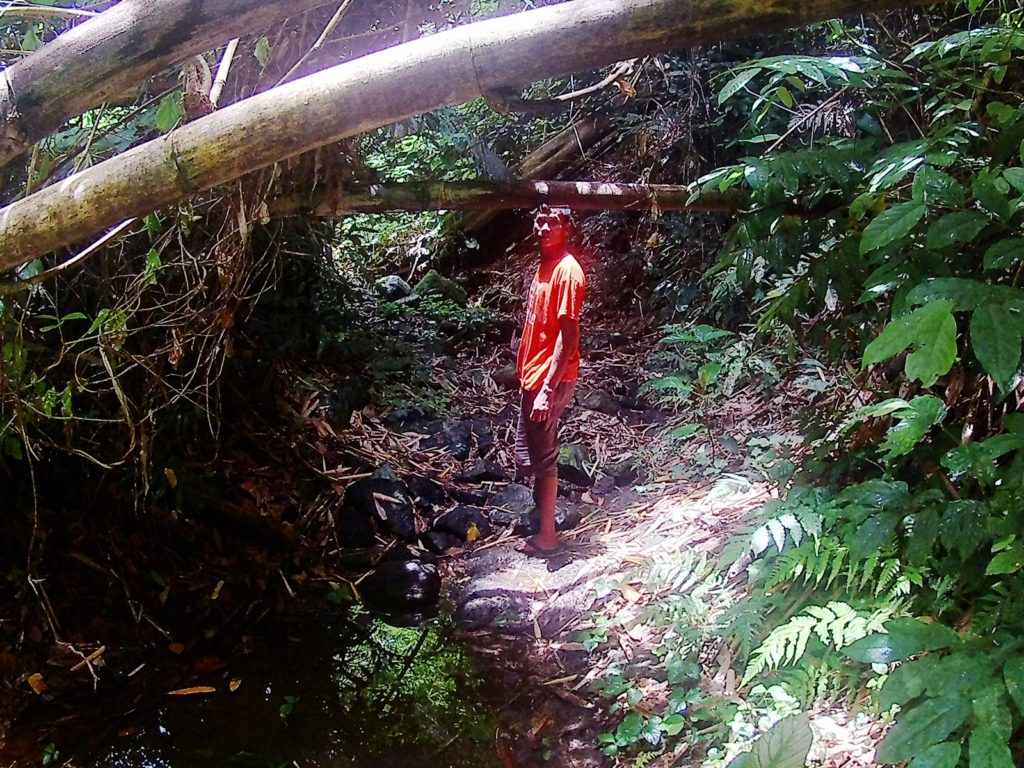 MT. MABILOG NAGCARLAN LAGUNA