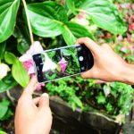 Capturing the beauty of nature with Huawei P9