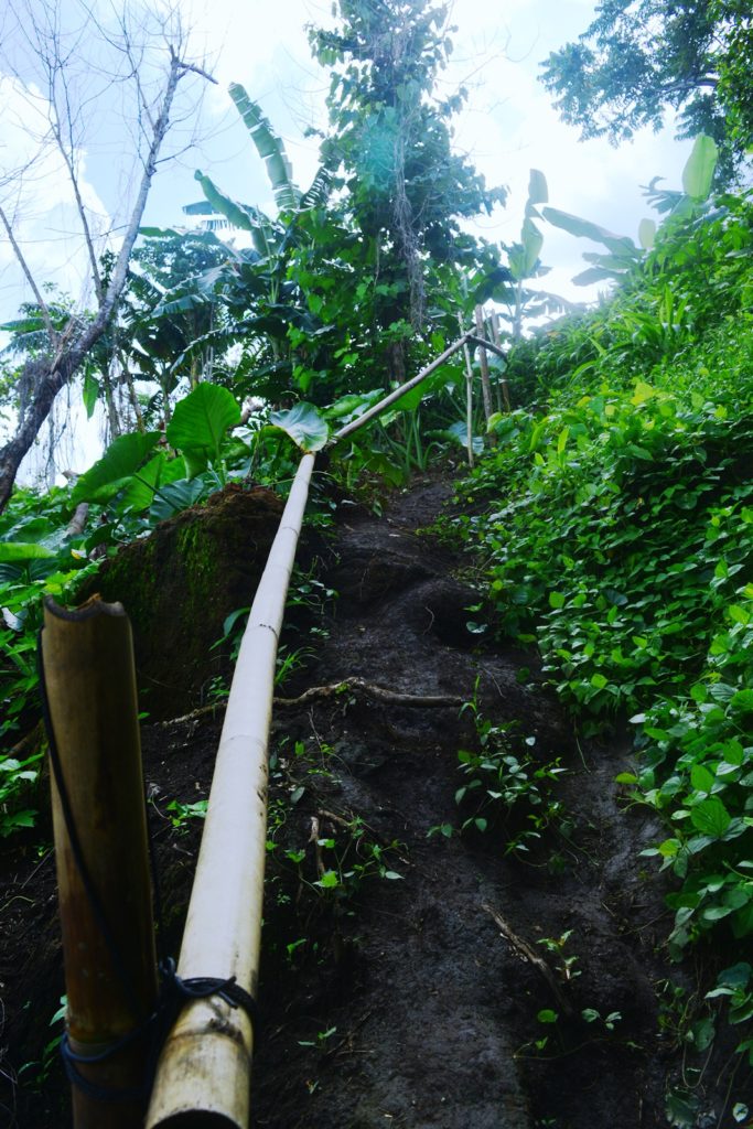 MT. MABILOG NAGCARLAN LAGUNA