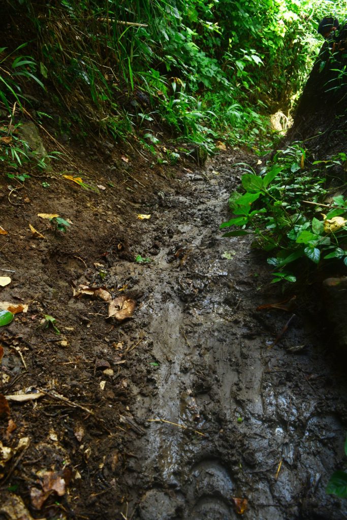 MT. MABILOG NAGCARLAN LAGUNA