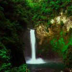 THINGS TO KNOW ABOUT TAPPIYA FALLS