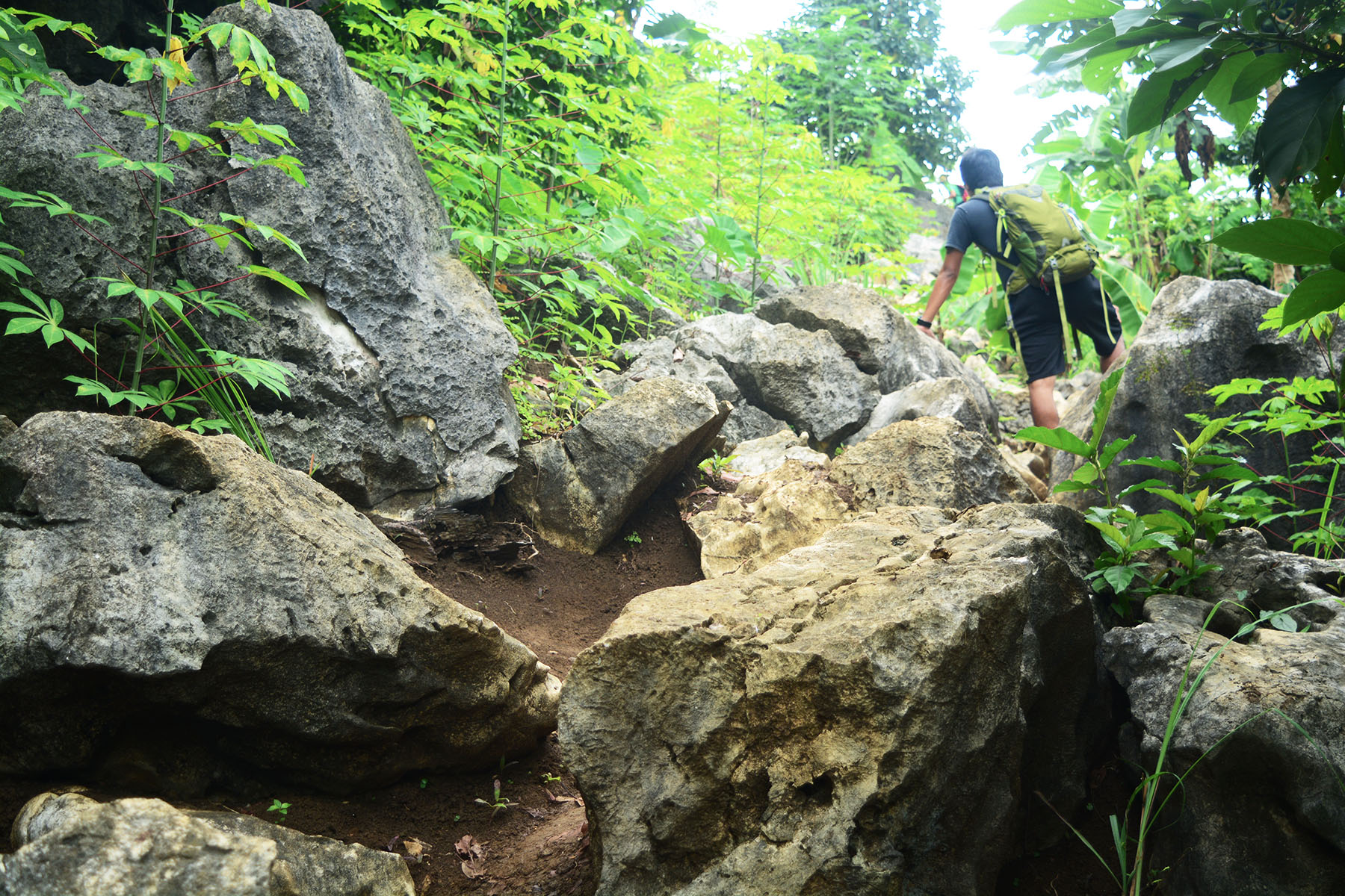 MT. BINACAYAN: Day Hike Guide, Budget, Itinerary & Useful Tips