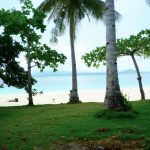 CUATRO ISLAS Inopacan Leyte