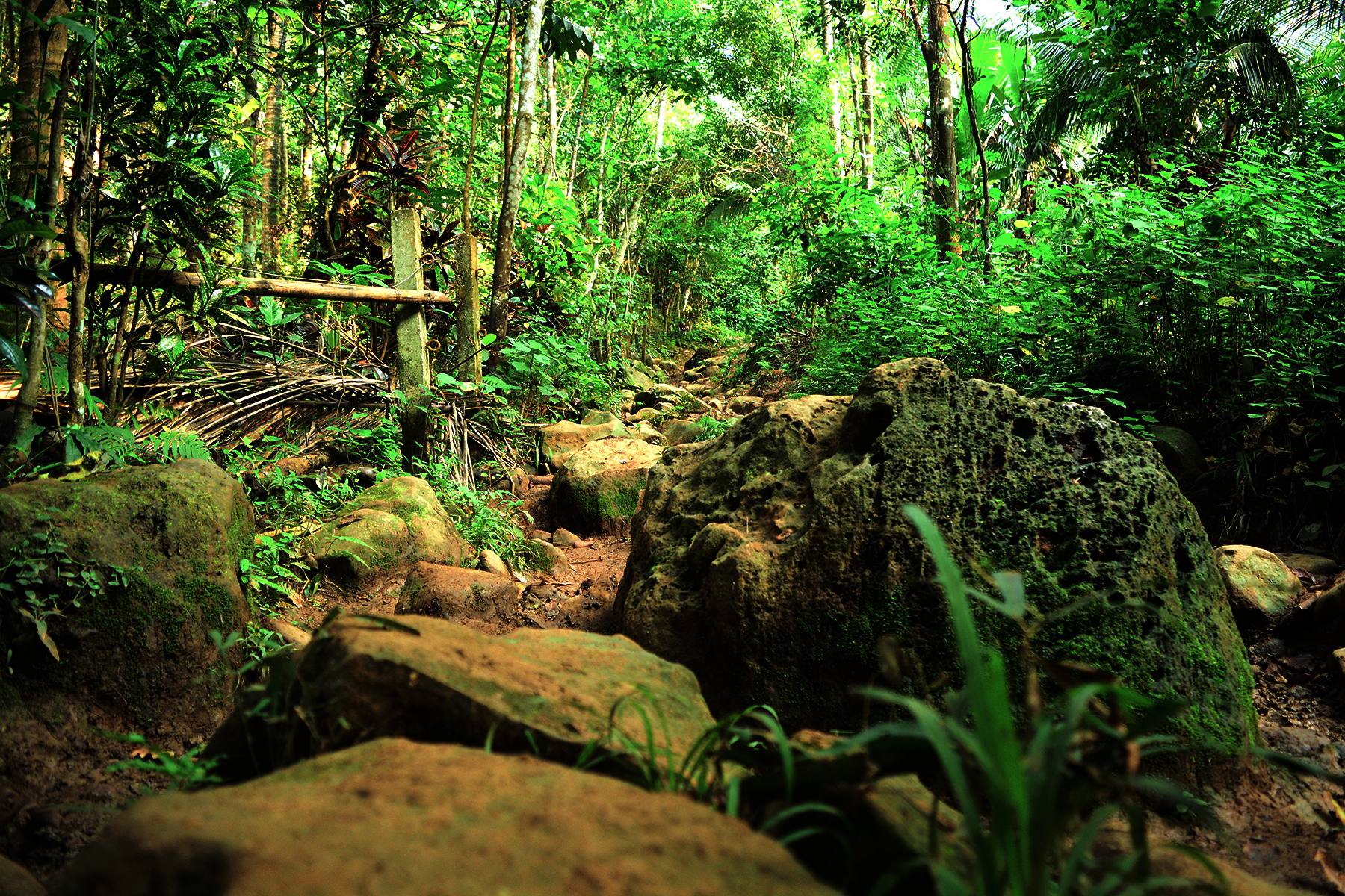 MT. ROMELO + BURUWISAN FALLS: Budget, Hiking Guide + Itinerary & Why It Should Be On Your Bucket List