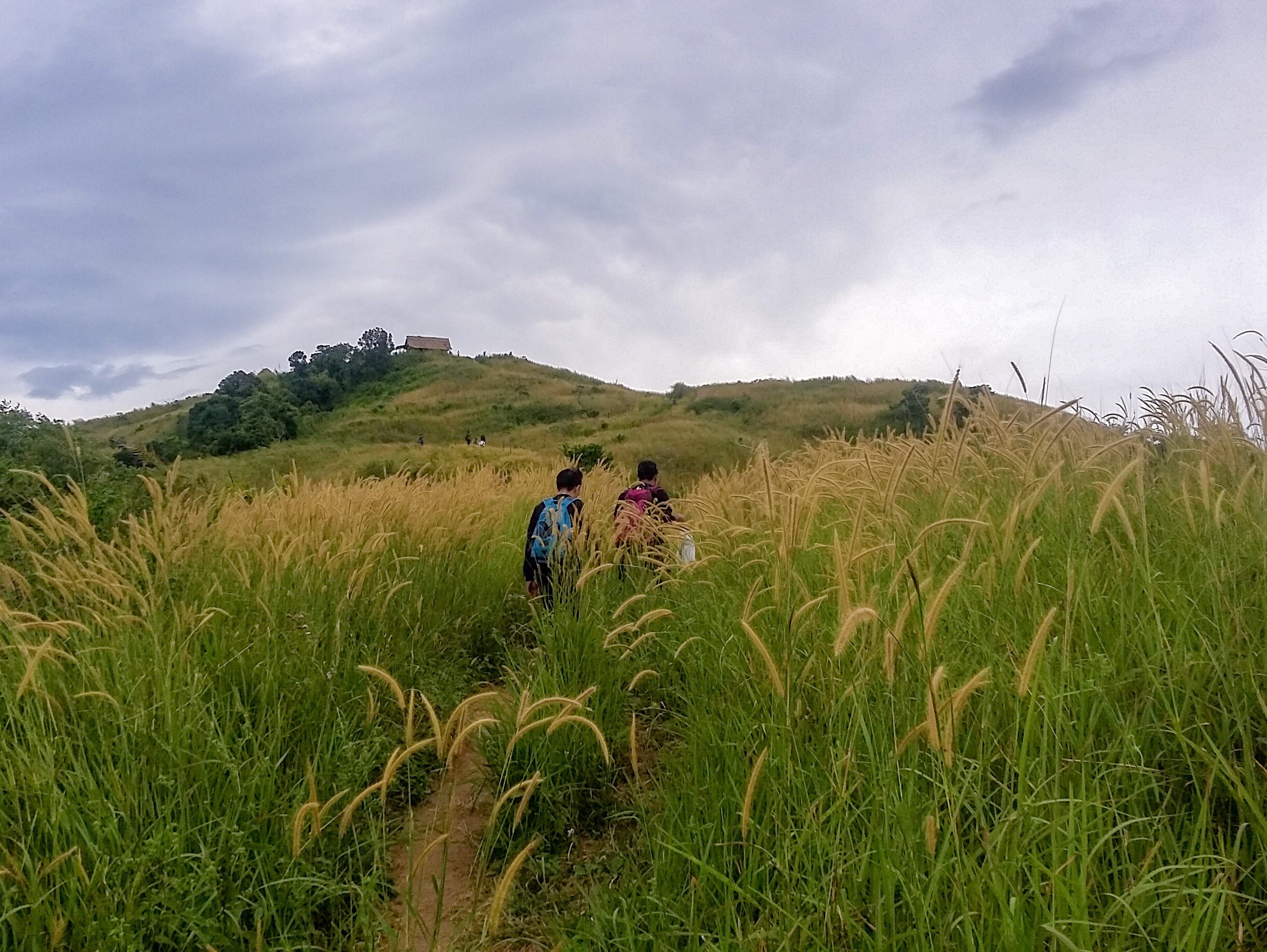 MT. BALAGBAG: DIY Day Hike Guide