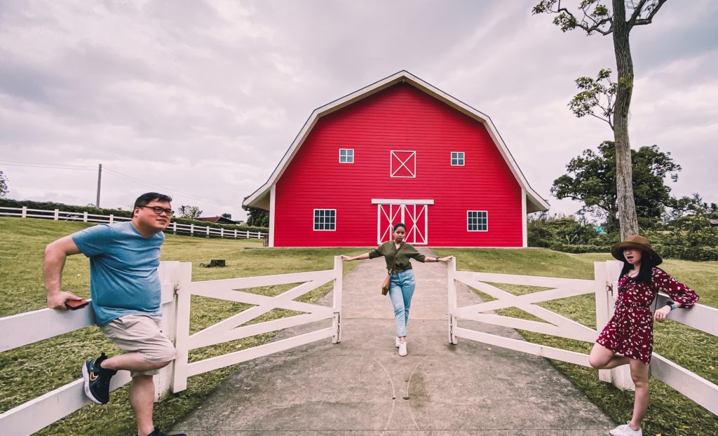 THE OLD GROVE FARMSTEAD