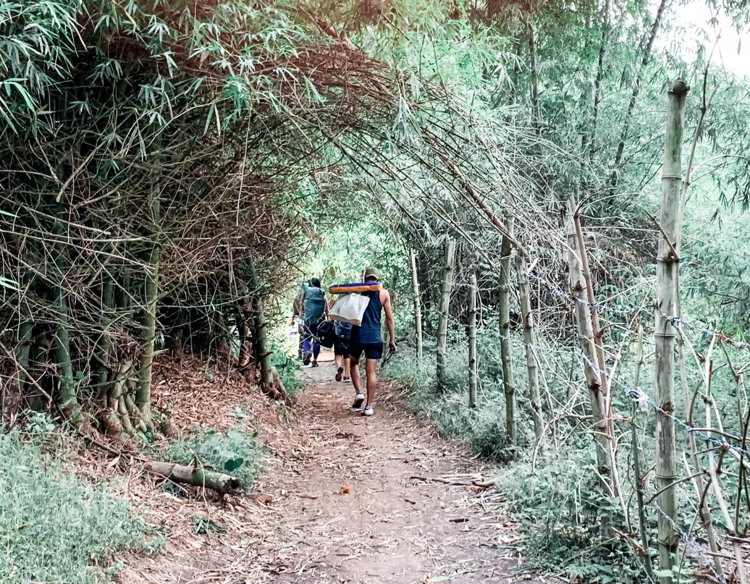 Tagapo MT. TAGAPO: DIY Day Hike/Overnight Guide, Budget + Itinerary (2024)