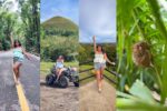 Bohol Countryside Tour