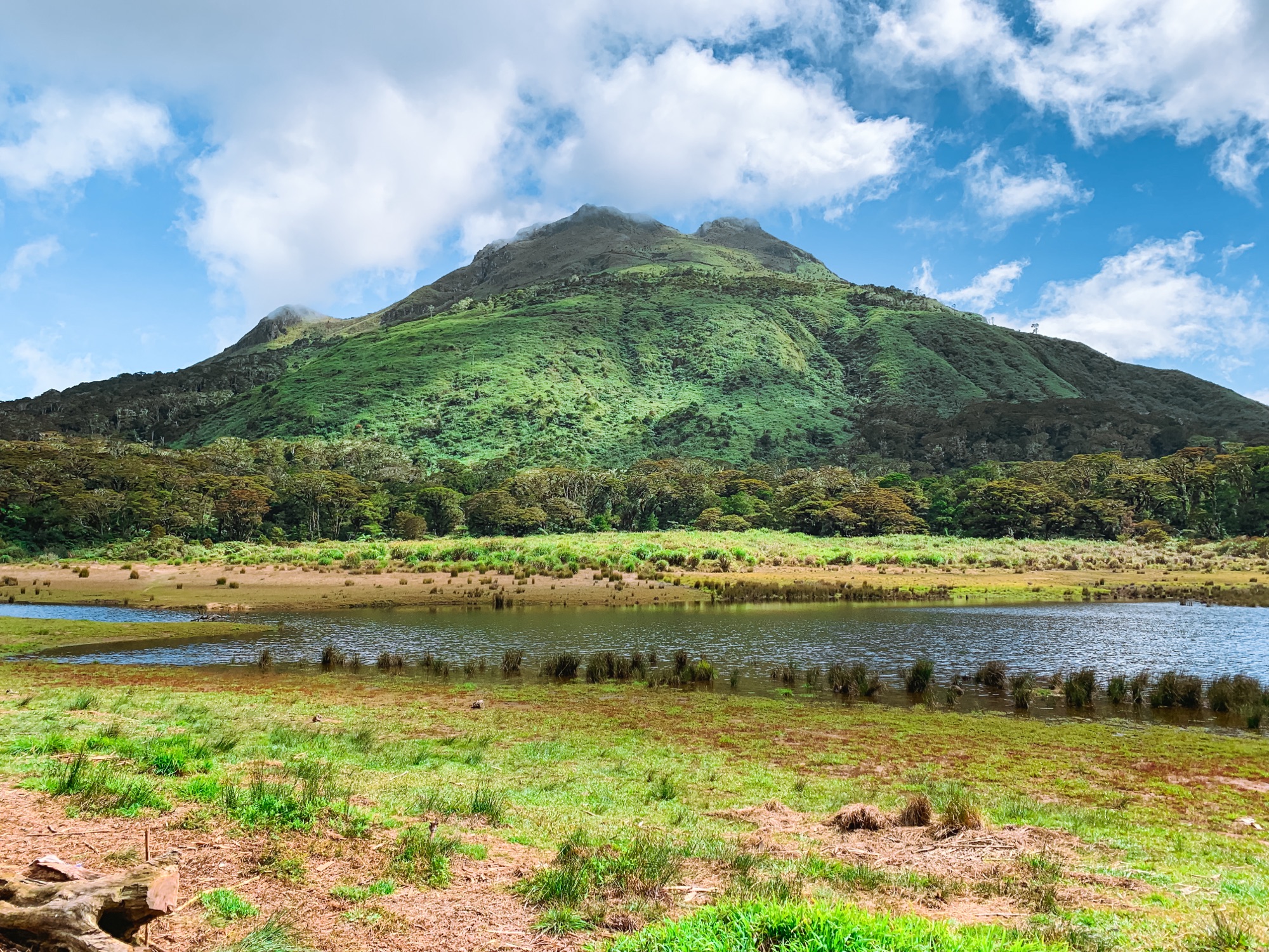 mt. apo