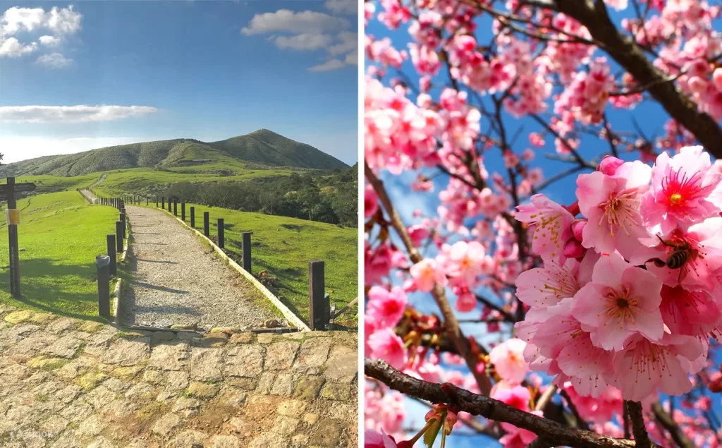 Scenic Day Trips from Taipei