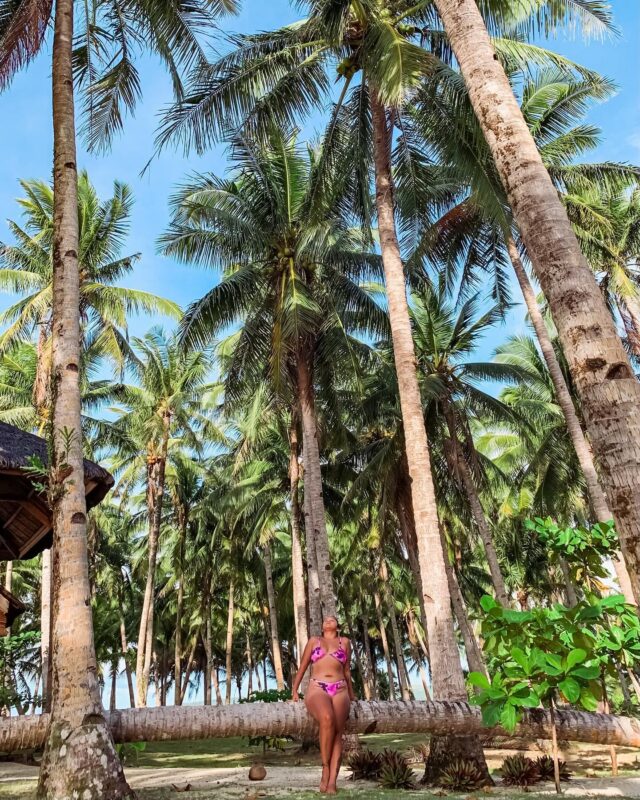 🌴 Been a while since I posted here. See you again in a month. 😄